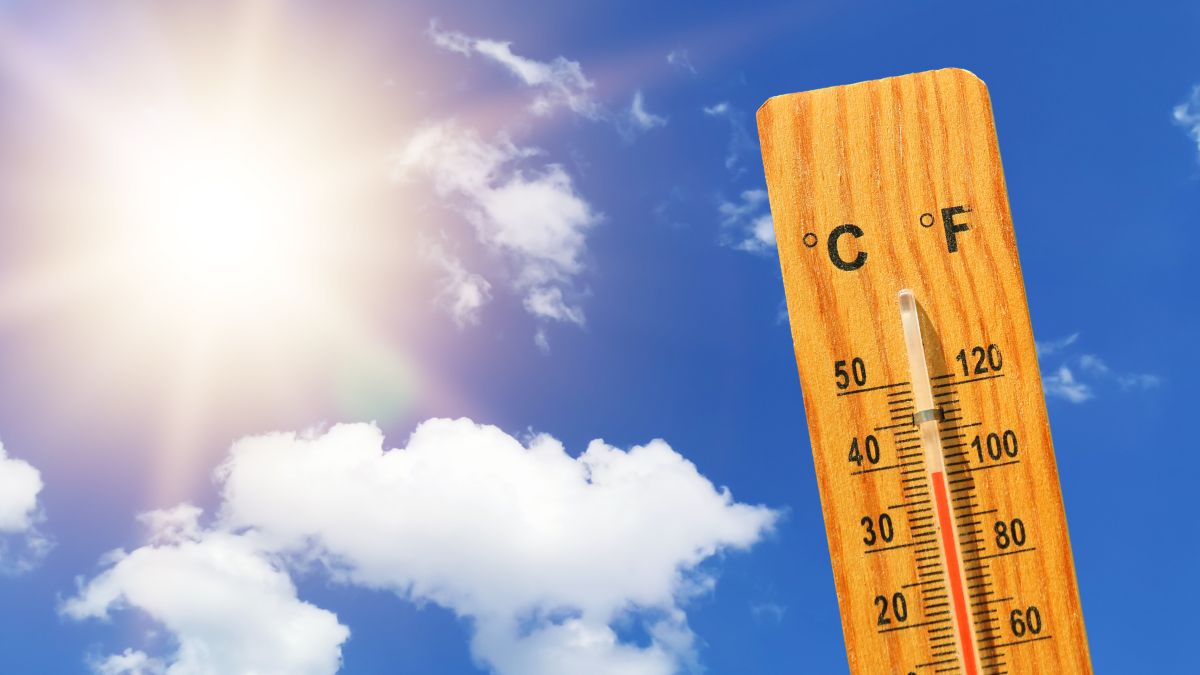 Beat the Heat Safely with Free Telecross REDi Welfare Checks